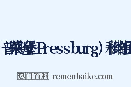 普莱斯堡(Pressburg)和约组词是什么意思的图片